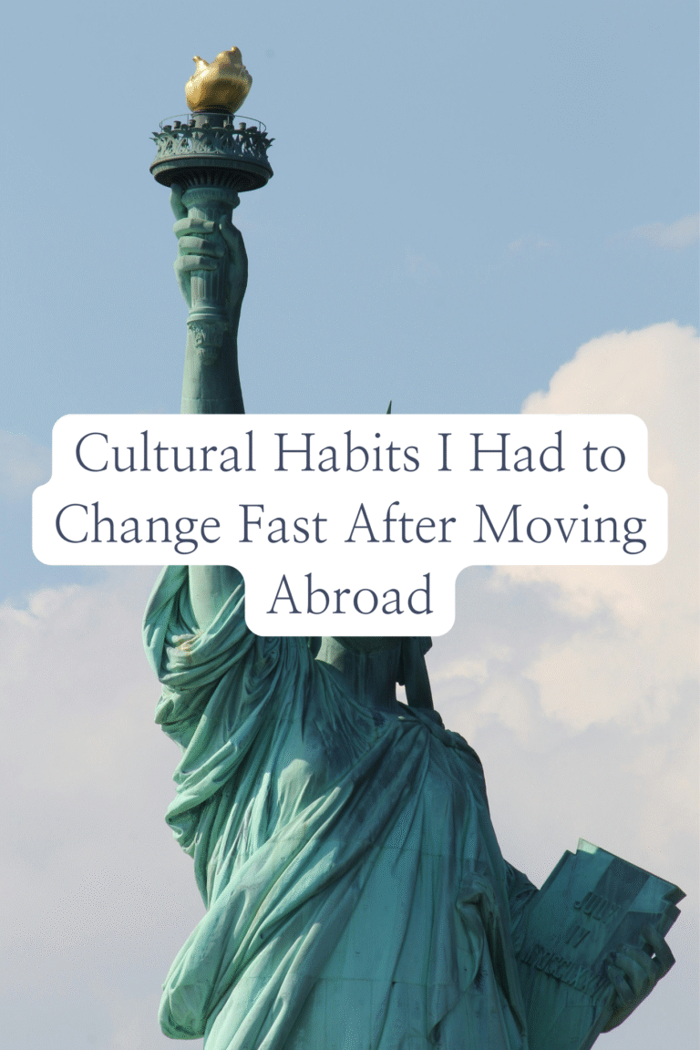 how i handled homesickness after leaving india 3