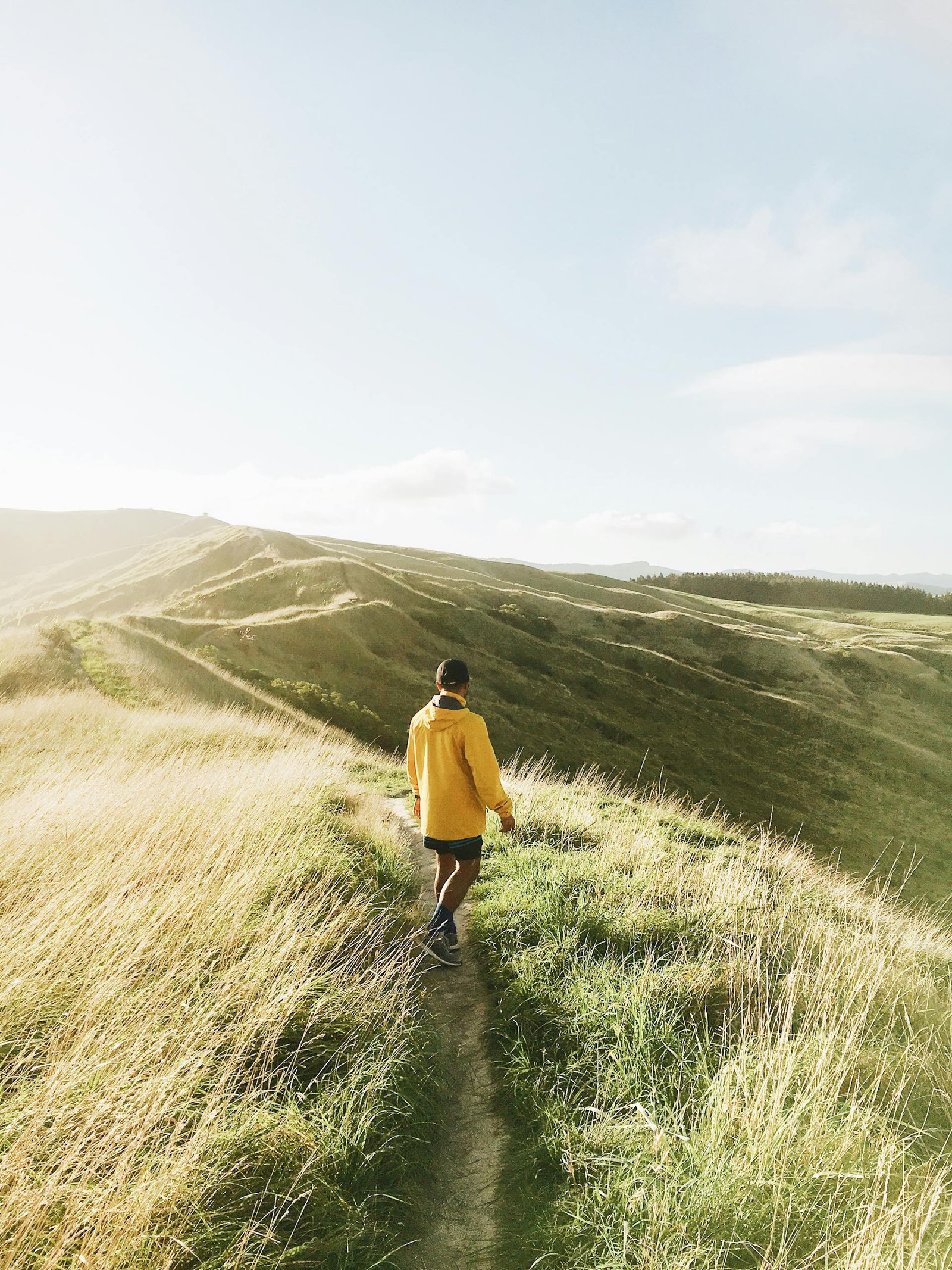 Home A man in a yellow jacket hikes along a grassy hill during a bright sunny day, capturing adventure and nature.