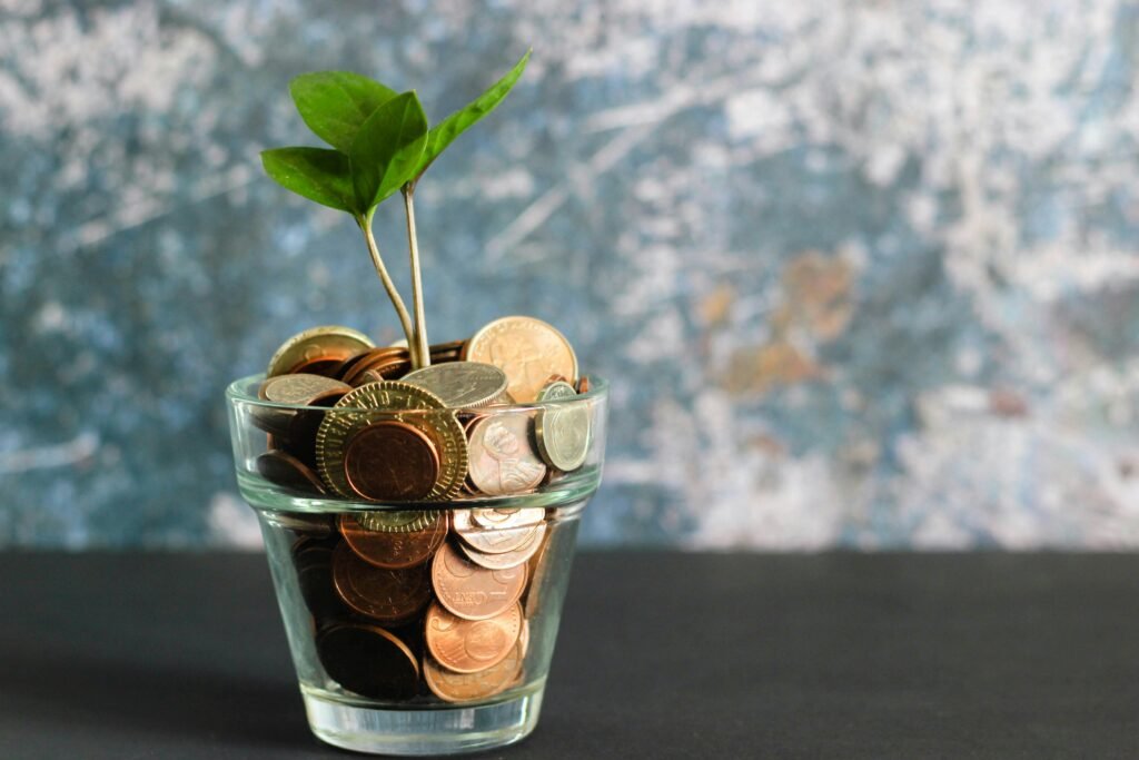 Money lessons after moving abroad — a small plant growing from coins showing financial growth and savings awareness.